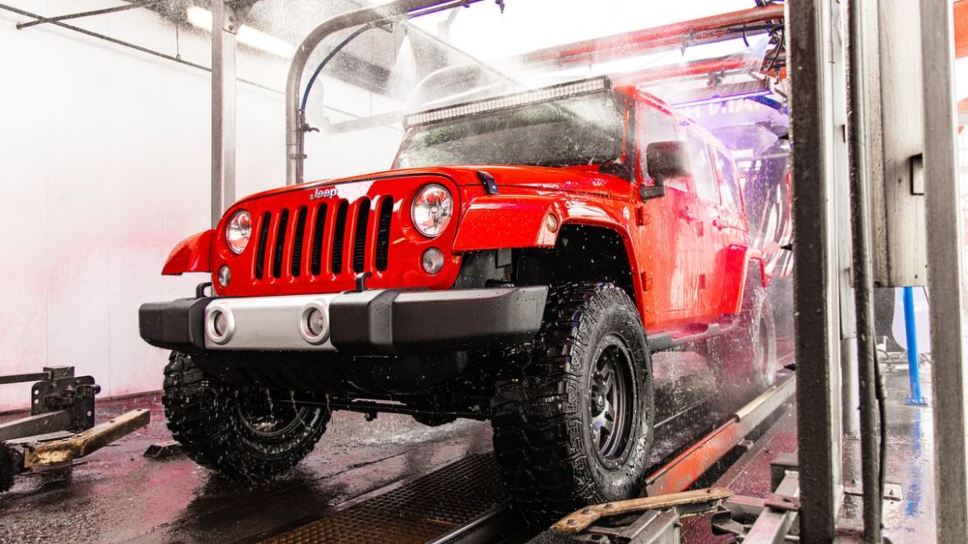 Fall Gunk Alert: What’s Sticking to Your Car Right Now (and How to Remove It)